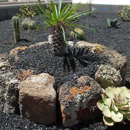 Apartamento Magmamia Puerto del Carmen (Lanzarote)