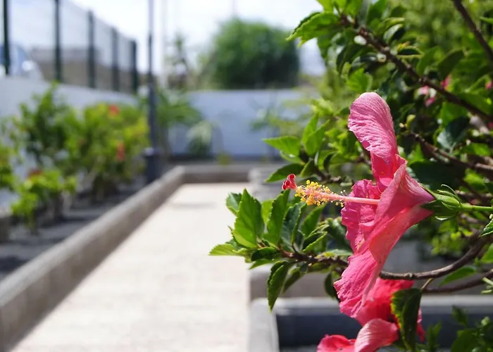 Magmamia Apartament Puerto del Carmen (Lanzarote)