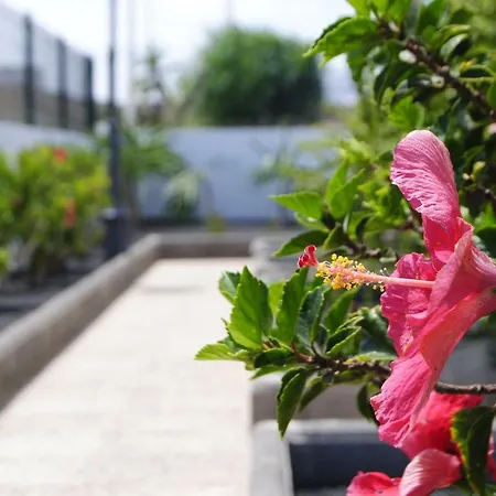 Magmamia Appartement Puerto del Carmen (Lanzarote)