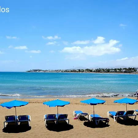 Appartement Magmamia