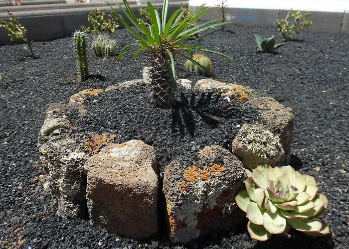 شقة Magmamia بويرتو ذيل كارمين